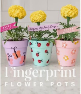 Pastel-painted flower pots decorated with fingerprint flowers in bright colors, arranged as a playful DIY craft idea.