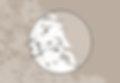 Website 50mile radius.png