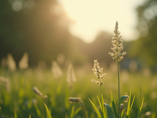 Understanding Your Anxiety: The Role of Hypnotherapy and Integral Eye Movement Therapy in Managing Symptoms