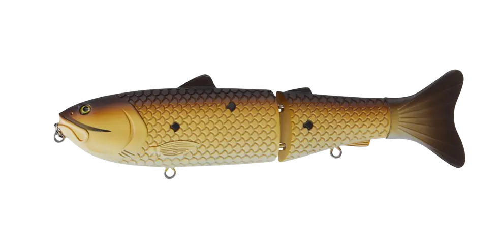 CAT FISH