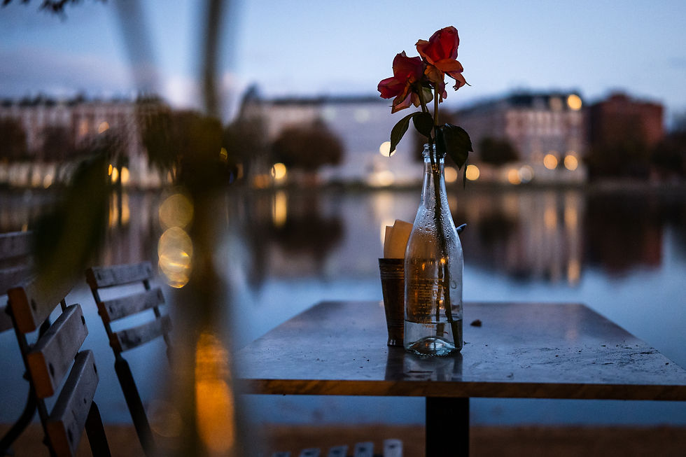 Smuk udsigt ud over søerne i hjertet af København hos Livinstone med lækker buffet