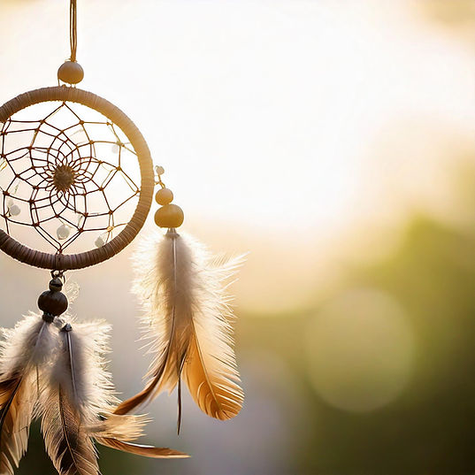 Dream Catcher made with AI_edited.jpg