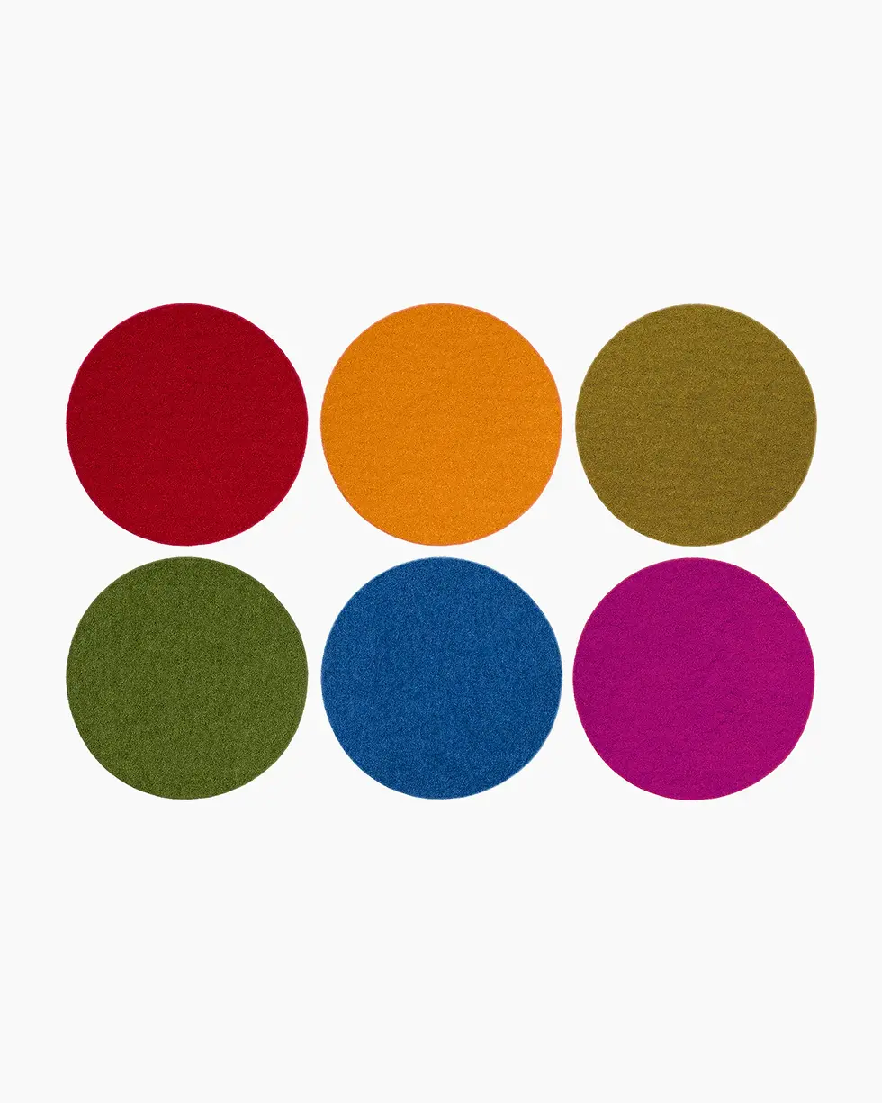 Bierfilzl Merino Wool Felt Round Coaster Multi 6 Pack RAINBOW