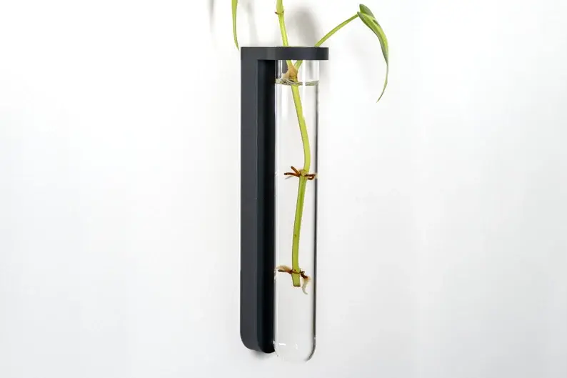 Wall Mounted Bud Vase or Plant Propagation Station