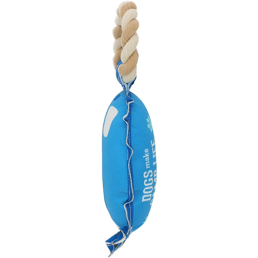 Thumbnail: Camp Life - 10.5" Canvas Dog Toy On Rope