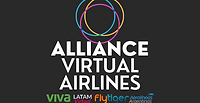 Alliance Virtual Group