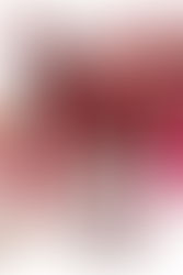 Review: High School Musical 3, Where Fancier Isn't Better