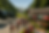 Gruppenreisen Header by GPT.png