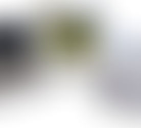 MICH WOHLFÜHLEN IN MEINER HAUT,  FIT SEIN FÜR IMMER