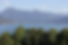 IMG_9174.png
