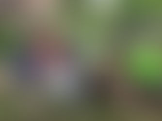 Přednášky a besedy pro děti