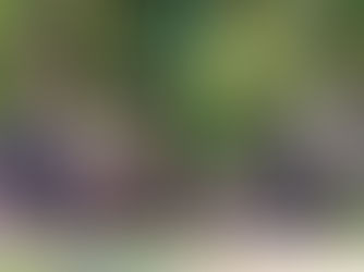 Víkendovka Tlapky v tahu 2018