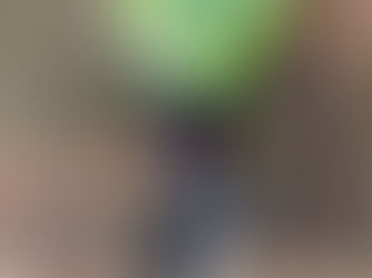 Jarní Votvírák 2018