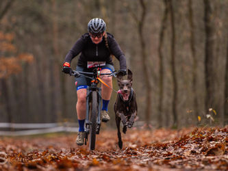 Nabitá podzimní sezóna je za námi