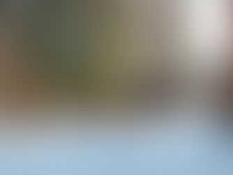 Sněhoběžka KICKSPARK MAX