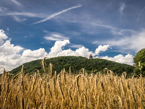 Kaiser Sommer Kornfeld.jpg