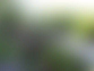 菅原真樹お話し会