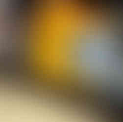 纽约上州维修一台32年前的 Furnace