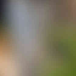 安装两台75加仑 高效率强排烟热水炉