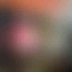 纽约上州维修一台32年前的 Furnace