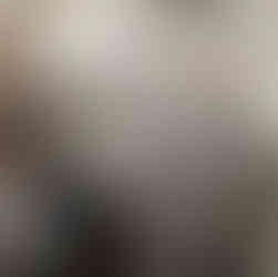 换一台AO史密斯50加仑热水炉