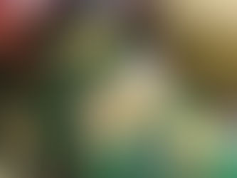 （纽约暖气炉347-735-1782）纽约康州、新泽西、布鲁克林、曼哈顿 、上州、法拉盛、长岛：暖气炉维修、暖气炉换新、暖气炉安装、暖气噪音 异响、暖气炉漏水、新增安装暖气片、暖气漏水、暖气炉维护保养、燃油油炉维修安装、蒸汽炉维修安装、	Hot Water Boiler维修安装、Steam Boiler安装维修、地暖维修、壁挂炉维修安装、纽约冷暖、纽约暖气维修、furnace暖风炉、