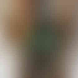 纽约长岛燃油暖气炉 安装 