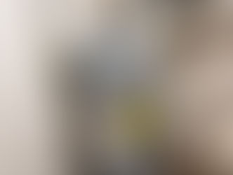 热水炉(347-735-1782纽约 热水炉安装维修)纽约、康州、新泽西、布鲁克林、曼哈顿、长岛、法拉盛:热水炉维修、热水炉安装、热水炉换新、热水炉漏水、热水炉熄火维修、热水炉点火,电热水炉维修安装、燃气热水炉维修安装、燃油热水炉维修安装、纽约HVAC、燃油热水炉安装维修、纽约冷暖维修、换热式储水罐热水炉 热水炉安装维修(347-735-1782)