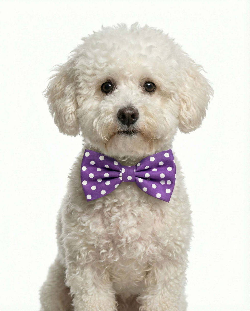 personalised elegant pet portrait