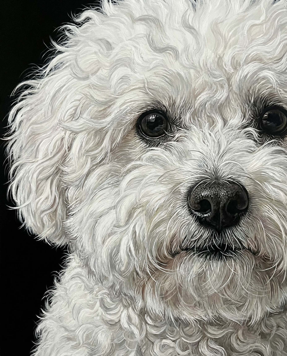 dog sketched portrait custom artwork