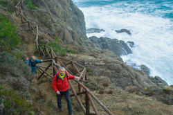 FRAMURA LEVANTO (49)-51