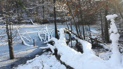 IMG_20211212_112518