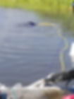 splash.jpg