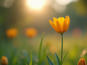 Understanding Self-Compassion: The Key to Lasting Motivation and Personal Growth