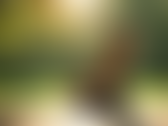 Effective Strategies to Reset Your Body After a Stressful Workday