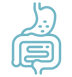 sistema-digestivo.png