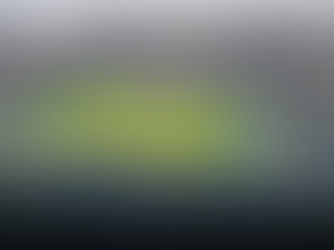 Philadelphia Eagles Fans vor dem Lincoln Financial Field während der NFL Playoffs