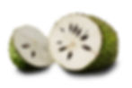 GUANABANA