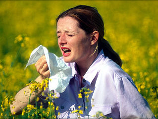 Hayfever