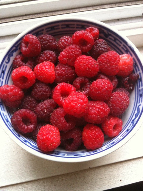 raspberries 2.jpg