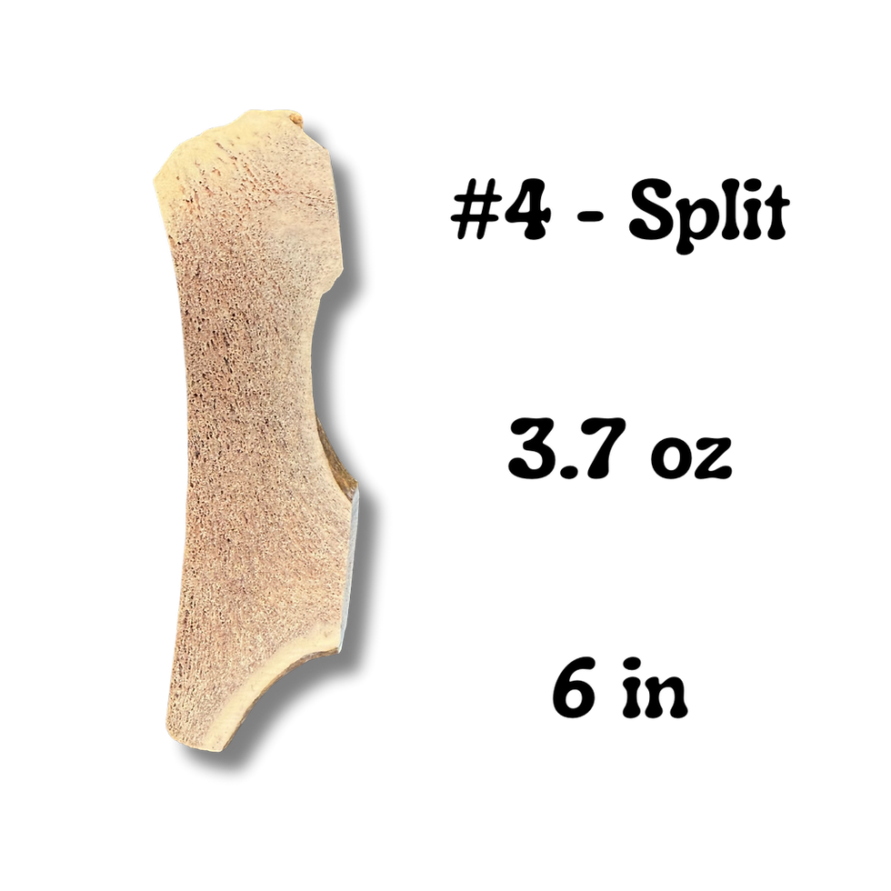 Thumbnail: Elk Antler Dog Chews