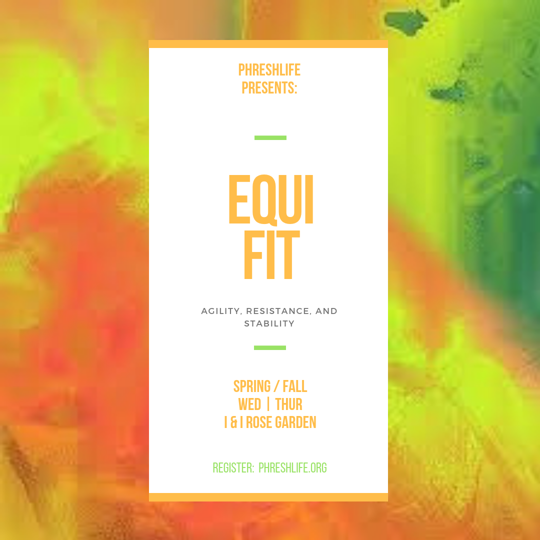 EQUI FIT