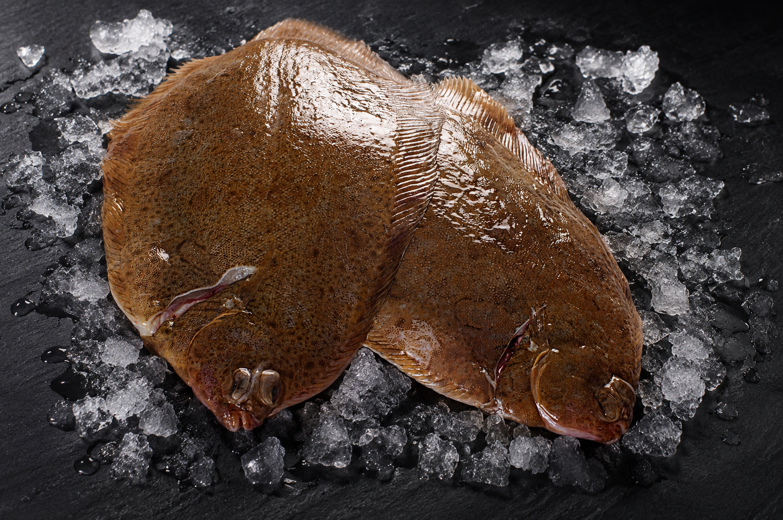 Fresh whole lemon sole on a bed of crushed ice