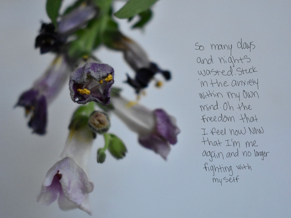 Dried snapdragons with a poem