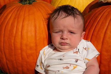 Baby siting in front of pumpkins