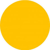 yellow.jpg