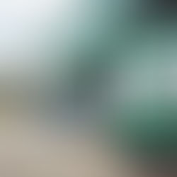 The future of retail stores