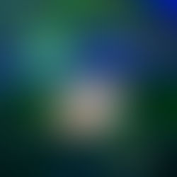 Measuring success: jewellery retail design effectiveness