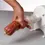 Thumbnail: Close-up of Dakotah Sausage Stuffer in action, demonstrating water-powered hydraulics for smooth sausage filling.