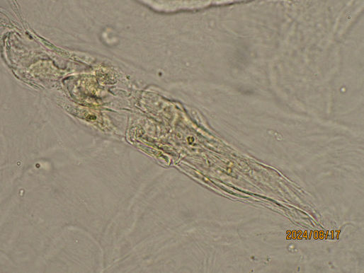 Instagram掲載画像No.9